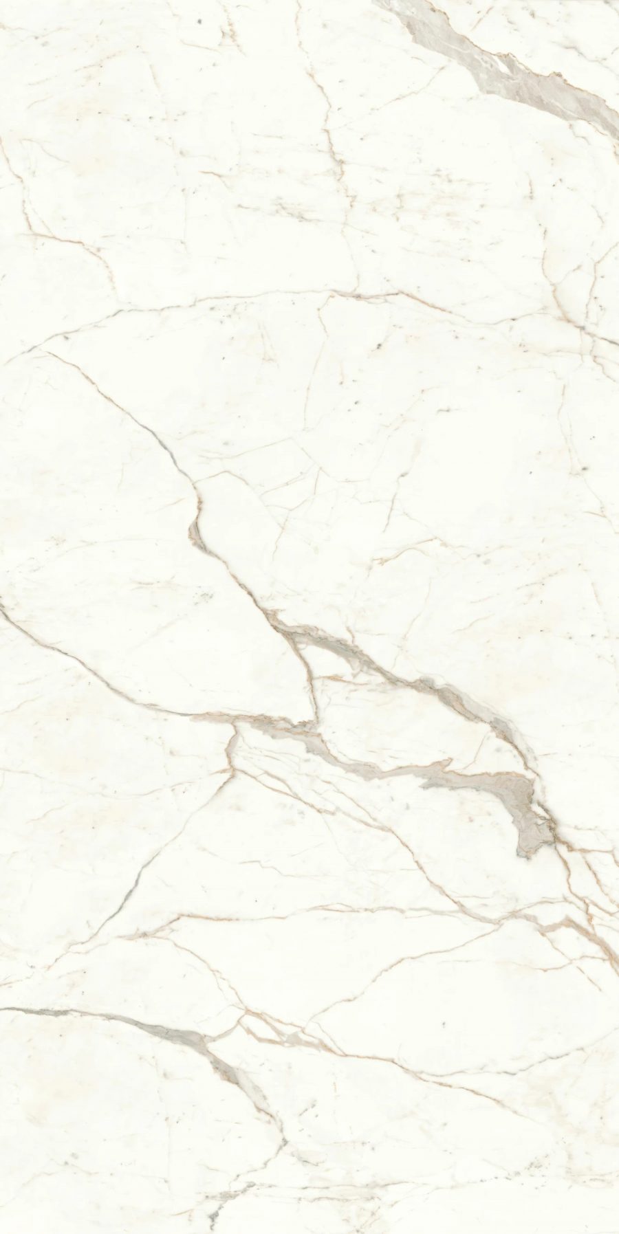 Marvel Shine Calacatta Prestigio Lucios, 120x278 cm