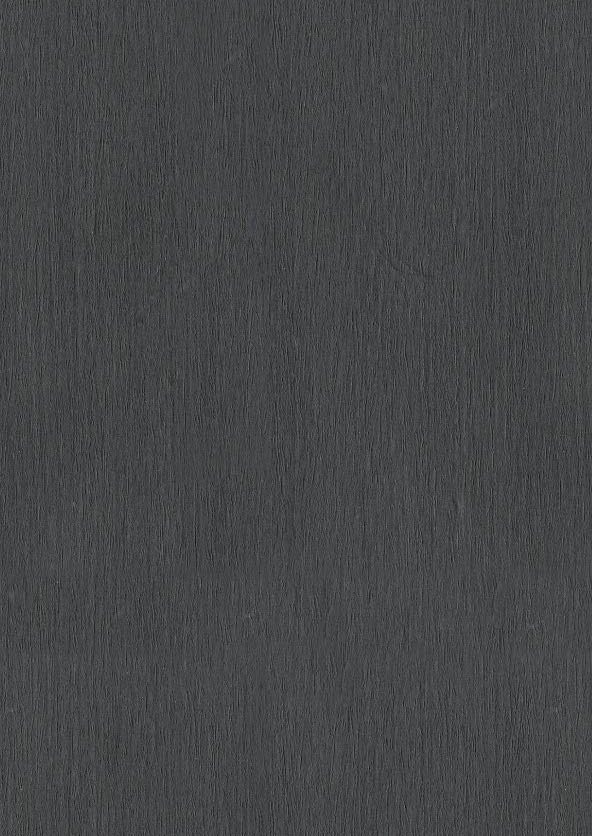 panou decorativ WPC aspect lemn 81028 negru carbune antracit textura fibroasa profunda mat