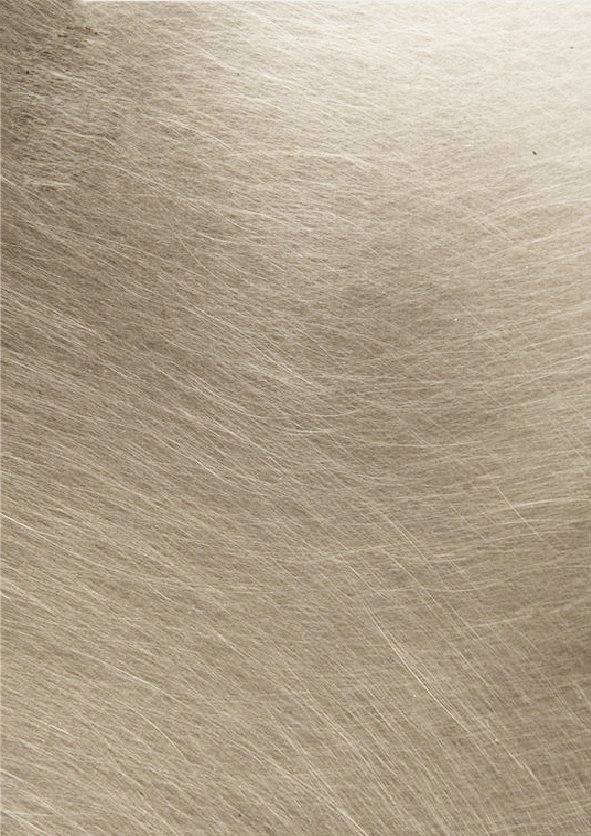 panou decorativ WPC aspect metalic 762 riflaj metal periat sampanie textura