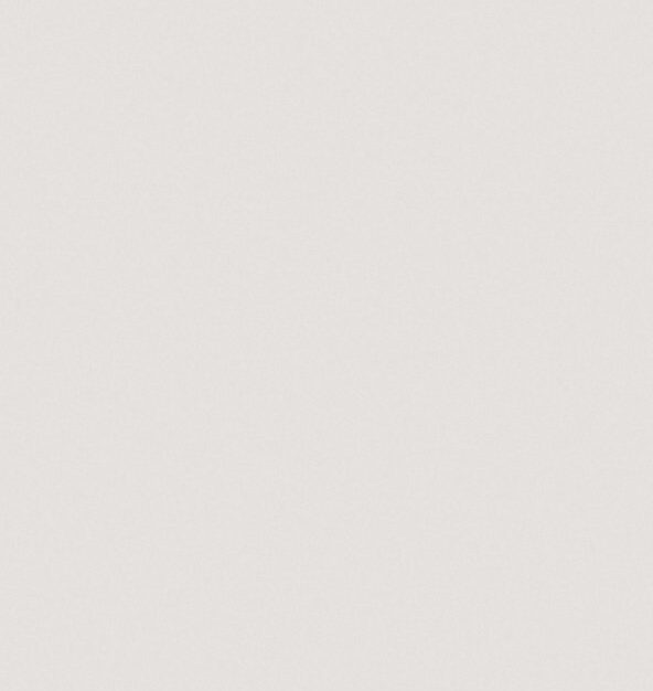 panou decorativ WPC uniform 3033 riflaj interior linii paralele